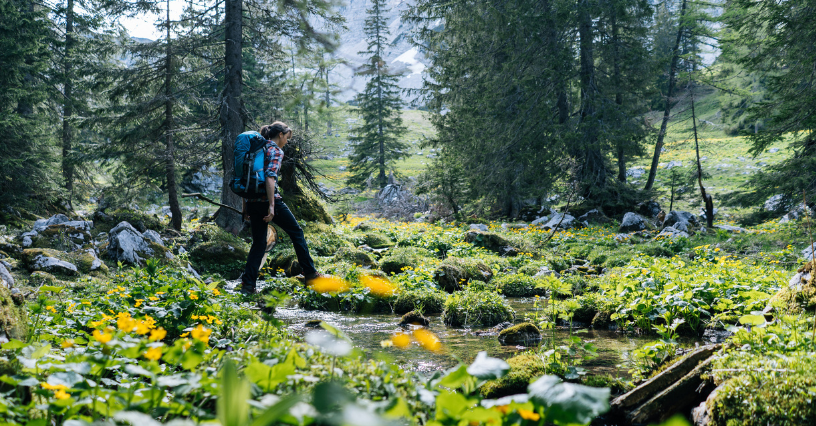 Persoană cu rucsac traversează un pârâu într-o pădure