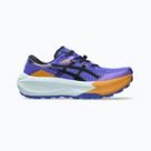 Alergare ASICS