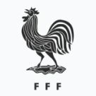Tricouri echipa națională Franța