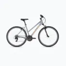 Biciclete de cross/fitness