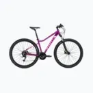 Biciclete de munte cu suspensie completă