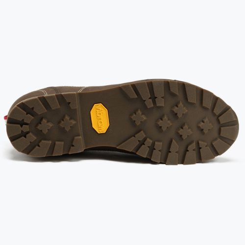 Încălțăminte de trekking pentru bărbați Dolomite 54 Low Fg Gtx, maro, 247959 0300