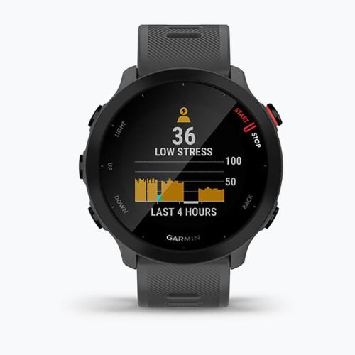 Ceas sport Garmin Forerunner 55, gri, 010-02562-13