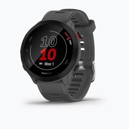 Ceas sport Garmin Forerunner 55, gri, 010-02562-13