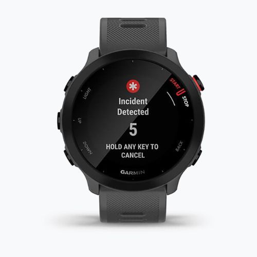 Ceas sport Garmin Forerunner 55, gri, 010-02562-13