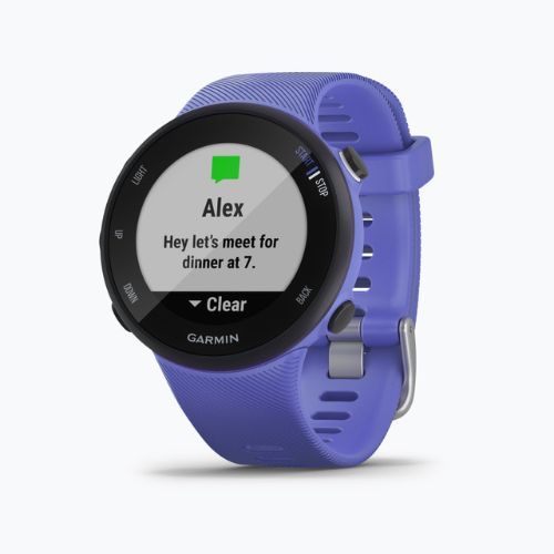 Ceas sport Garmin Forerunner 45S, mov, 010-02156-11
