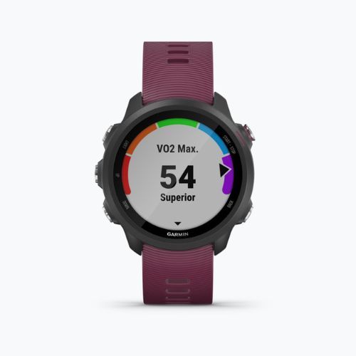 Ceas sport Garmin Forerunner 245, mov, 010-02120-11