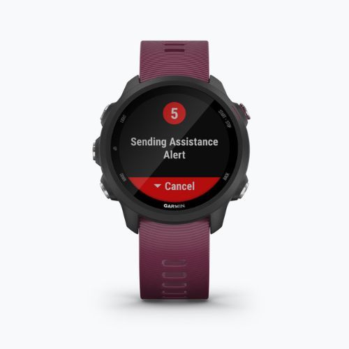 Ceas sport Garmin Forerunner 245, mov, 010-02120-11