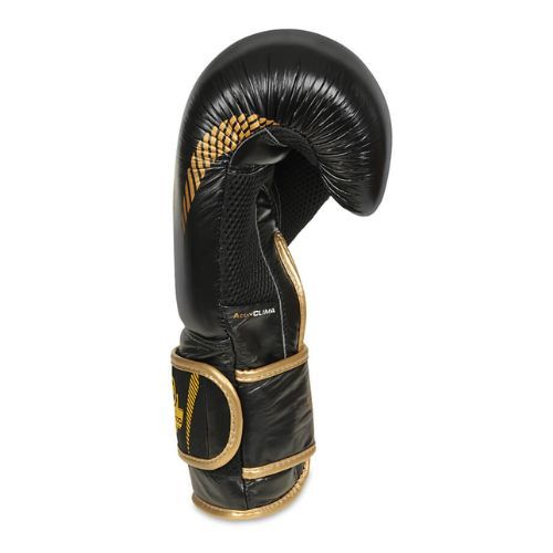 Mănuși de box din piele naturală Bushido, negru, B-2v13-10oz