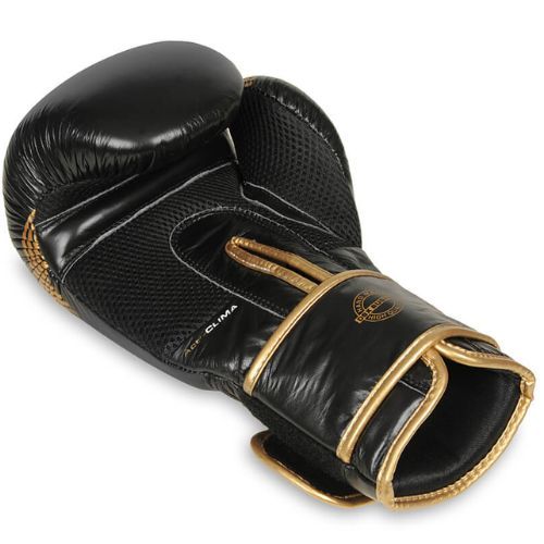 Mănuși de box din piele naturală Bushido, negru, B-2v13-10oz