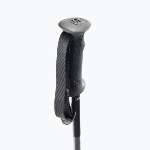Bețe de schi Salomon Arctic, negru, L40559000