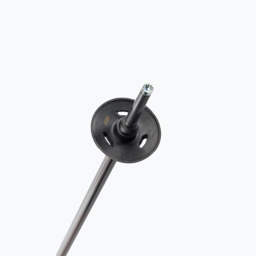 Bețe de schi Salomon Arctic, negru, L40559000
