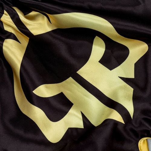 Ground Game Muay Thai Muay Thai boxing pantaloni scurți Gold negru 21MTSHGOLDS