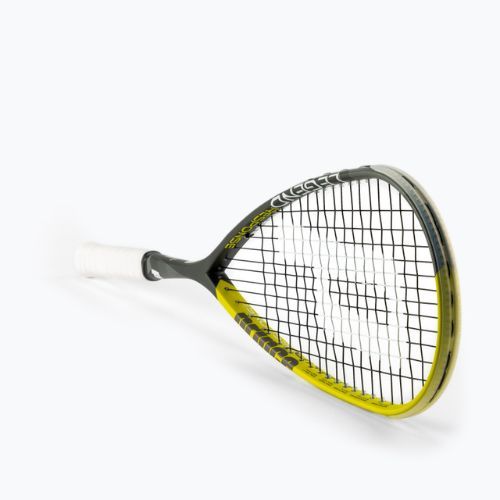 Rachetă de squash Prince sq Legend Response 450 gri 7S620905