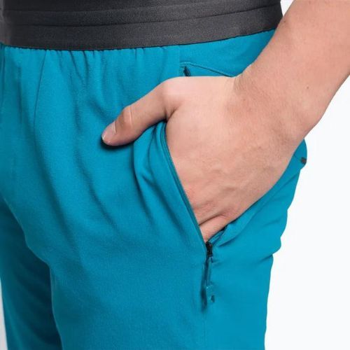 Pantaloni scurți de drumeție pentru bărbați The North Face AO Woven albastru NF0A5IMMM191