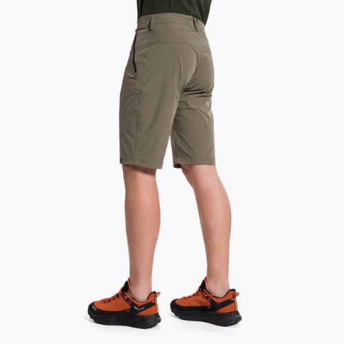 Pantaloni scurți de drumeție pentru bărbați Salewa Talveno DST maro 00-0000027064