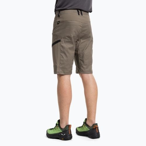 Pantaloni scurți de drumeție pentru bărbați Salewa Lavaredo Hemp Hemp maro 00-0000028033