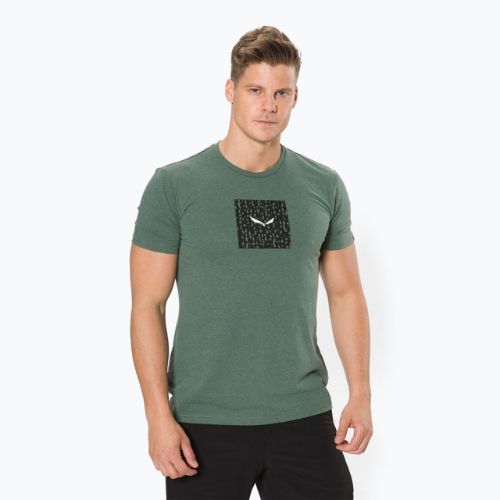 Cămașă de trekking pentru bărbați Salewa Pure Box Dry verde 00-0000028378