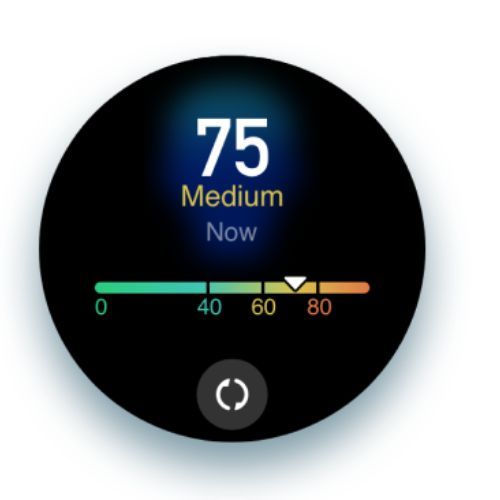 Amazfit GTR 3 Pro ceas maro W2040OV3N