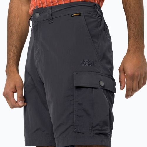 Pantaloni scurți de drumeție pentru bărbați Jack Wolfskin Canyon Cargo gri 1504201_6168_046