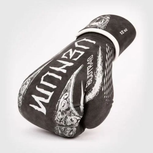 Venum mănuși de box pentru bărbați GLDTR 4.0 negru VENUM-04145