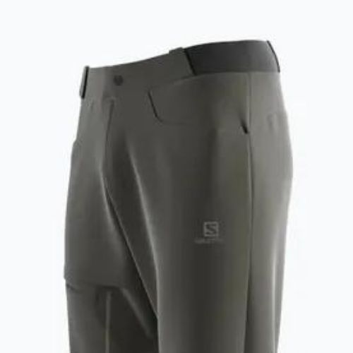 Pantaloni de trekking pentru bărbați Salomon Wayfarer verde LC1739200