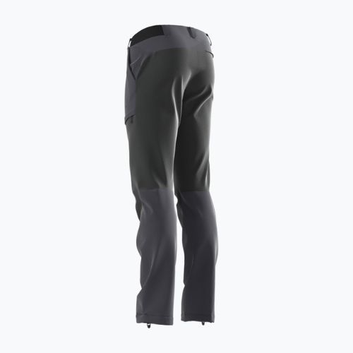 Pantaloni de trekking pentru bărbați Salomon Wayfarer Secure negru LC1714100