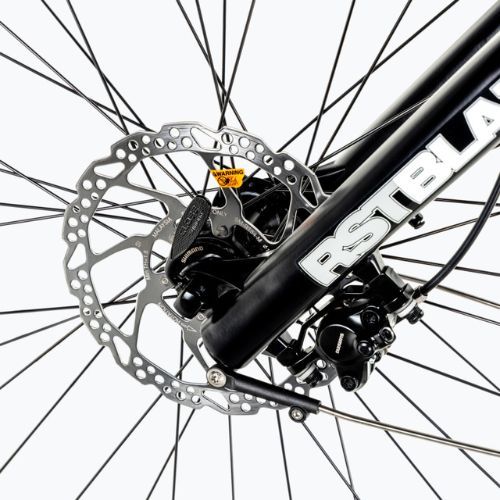 Ecobike LX300 Greenway bicicletă electrică albă 1010306