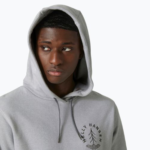 Bluză de trekking pentru bărbați Helly Hansen F2F Organic Cotton 855 gri 62934