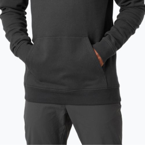 Hanorac de trekking pentru bărbați Helly Hansen Nord Graphic Pull Over 981 gri 62975