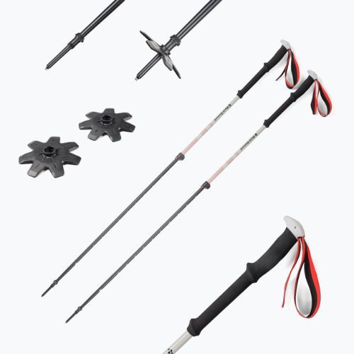 Black Diamond Expedition Expedition 2 skit touring poles negru BD11158900001451