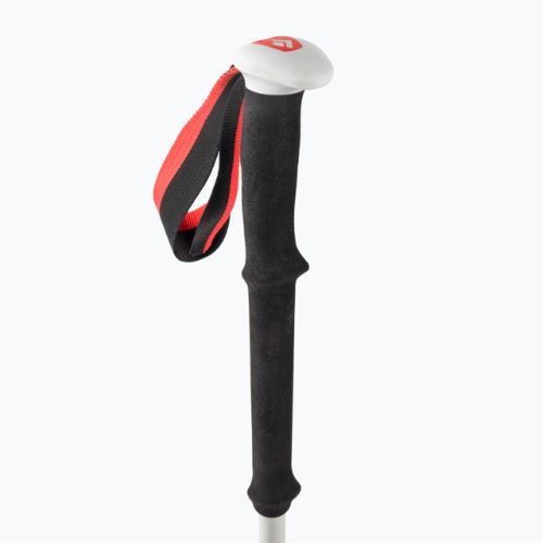 Black Diamond Expedition Expedition 2 skit touring poles negru BD11158900001451