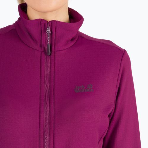 Jack Wolfskin hanorac pentru femei Peak Grid Fleece violet 1710351