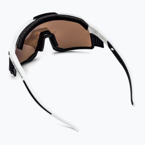 DYNAFIT Sky Pro S2-S4 ochelari de soare alb și negru 08-0000049915