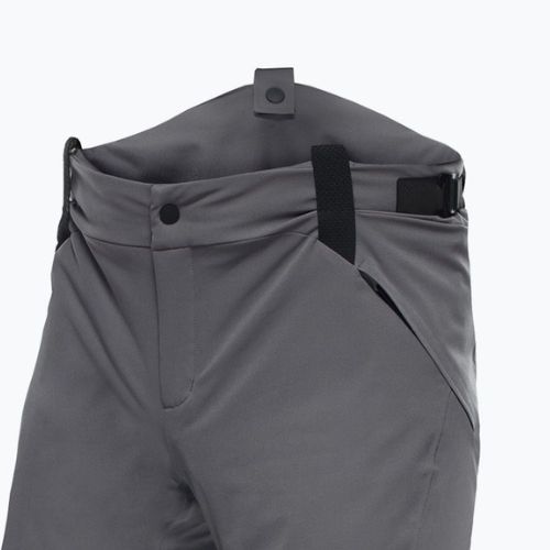 Pantaloni de schi pentru bărbați Dainese Hp Ridge castle rock