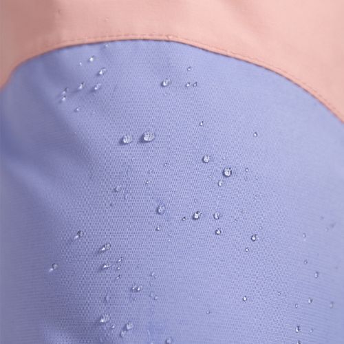 Pantaloni de snowboard pentru femei ROXY Chloe Kim Bib 2021 mellow rose