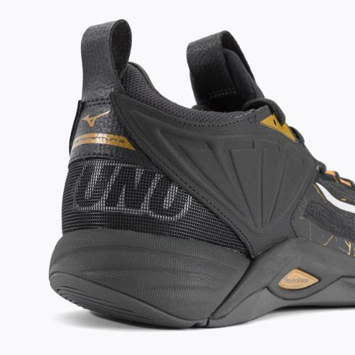 Pantofi de volei pentru bărbați Mizuno Wave Momentum 2 V1GA211241