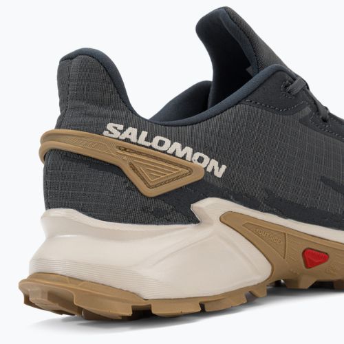 Pantofi de trail pentru bărbați Salomon Alphacross 4 gri L41724100