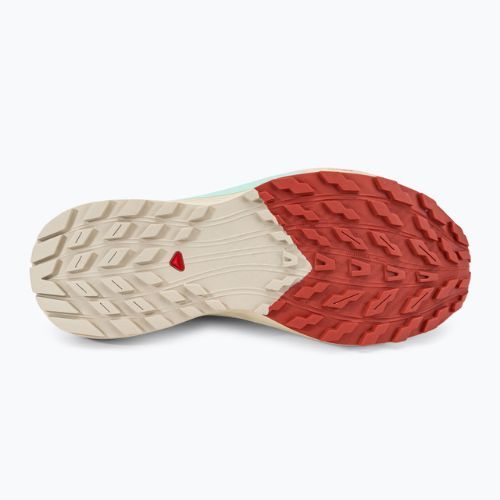 Încălțăminte de alergat pentru femei Salomon Sense Ride 5 Lily Pad/Rainy Day/Bleached Aqua L47212300