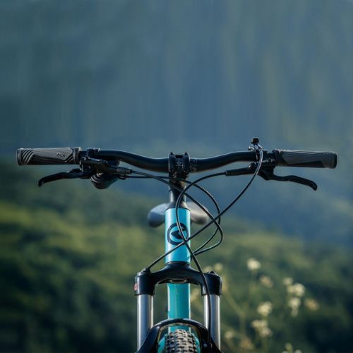 Kellys Vanity 90 29  biciclete de munte pentru femei albastru 72224