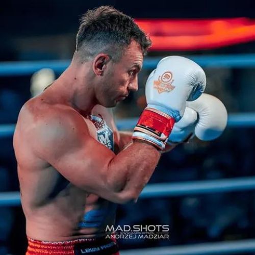 Bushido mănuși de box DBD-B-2 alb