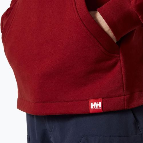 Bluză cu glugă pentru bărbați Helly Hansen Arctic Ocean Hoodie maroon 30361_215
