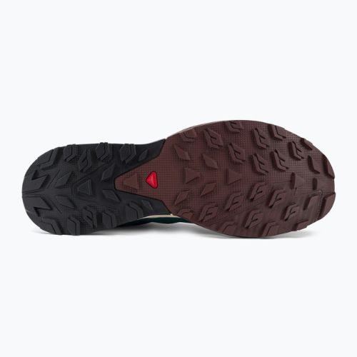 Încălțăminte de trekking pentru bărbați Salomon Outrise GTX albastră L47142100