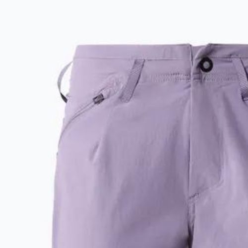 Pantaloni scurți de trekking pentru femei The North Face Speedlight Speedlight Slim Straight violet NF0A826CN141