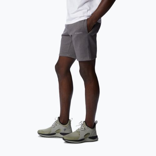 Pantaloni scurți de trekking pentru bărbați Columbia Logo Fleece gri 1884601023