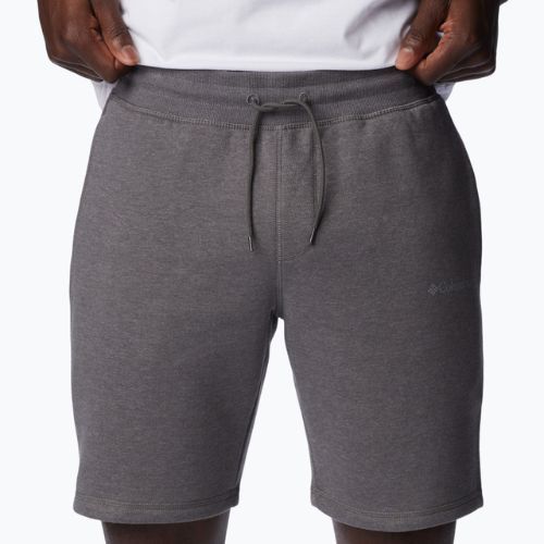 Pantaloni scurți de trekking pentru bărbați Columbia Logo Fleece gri 1884601023