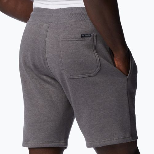 Pantaloni scurți de trekking pentru bărbați Columbia Logo Fleece gri 1884601023