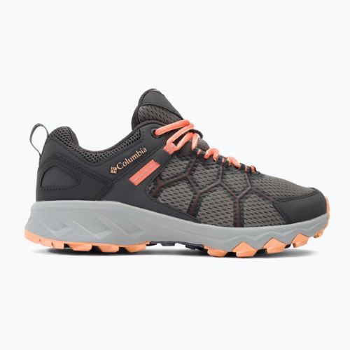 Cizme de trekking pentru femei Columbia Peakfreak II gri 2027301033