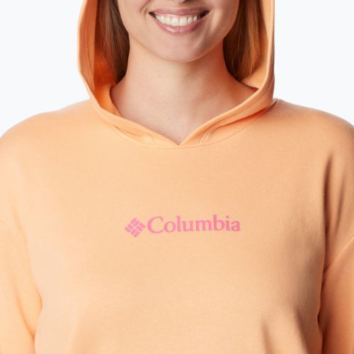 Bluză de antrenament pentru femei Columbia Logo III French Terry portocalie 2032871812