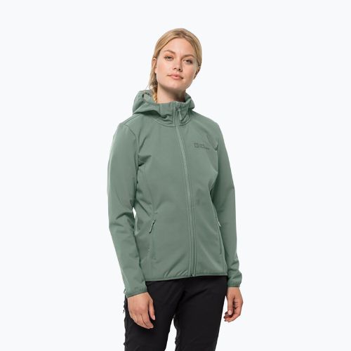 Jachetă softshell pentru femei Jack Wolfskin Bornberg Hoody verde 1307691